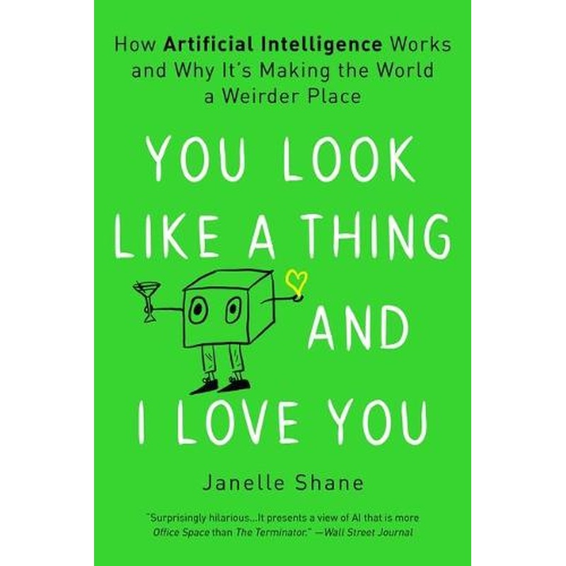 You Look Like a Thing and I Love You: How Artificial Intelligence Works and Why It's Making the World a Weirder Place