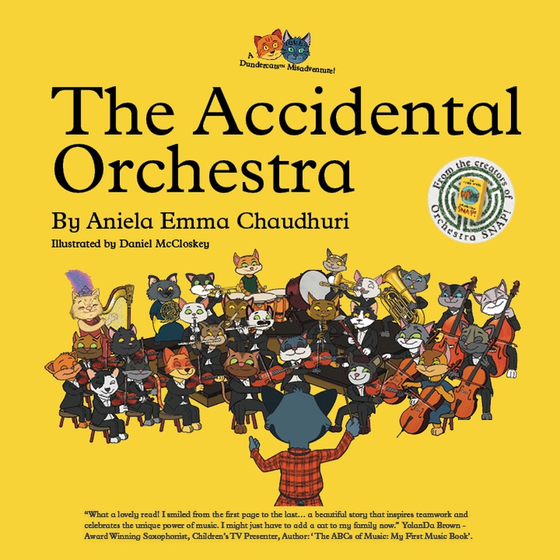 The Accidental Orchestra