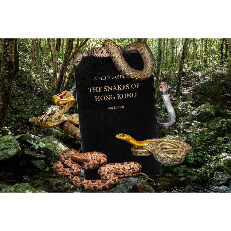 A Field Guide to The Snakes of Hong Kong 2nd Edition