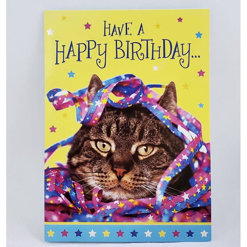 Cat & Streamers Birthday Card
