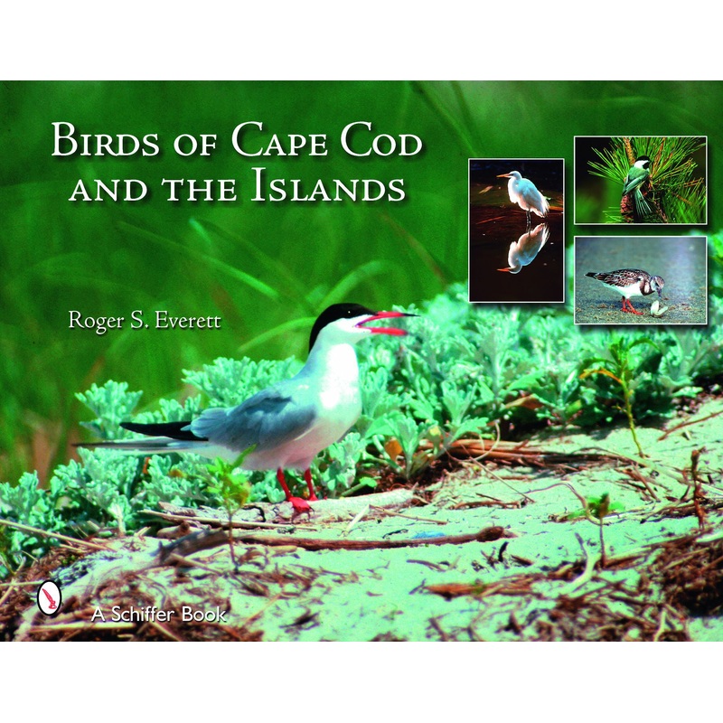 Birds of Cape Cod & The Islands