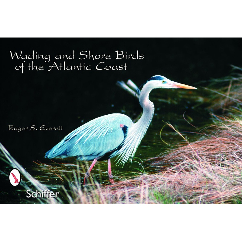 Wading & Shore Birds of the Atlantic Coast