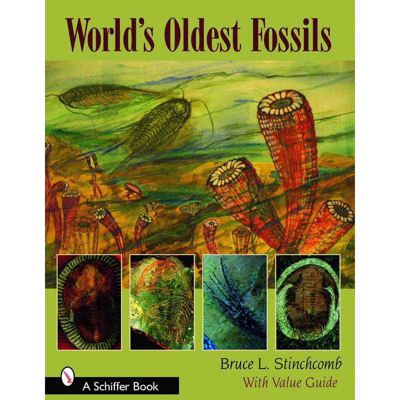World's Oldest Fossils