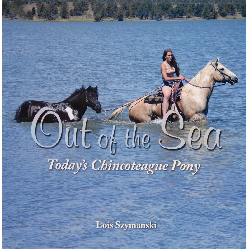 Out of the Sea, Todays Chincoteague Pony
