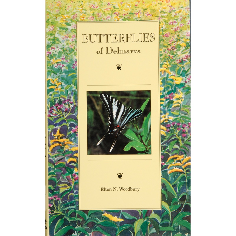 Butterflies of Delmarva