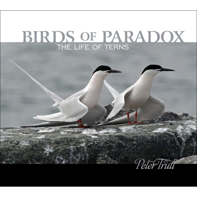 Birds of Paradox