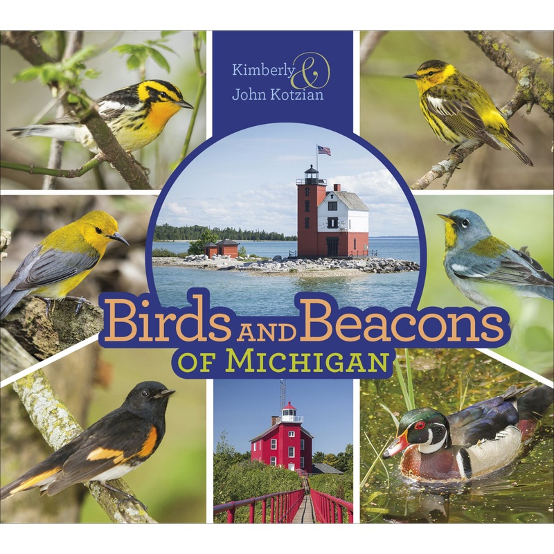 Birds and Beacons of Michigan