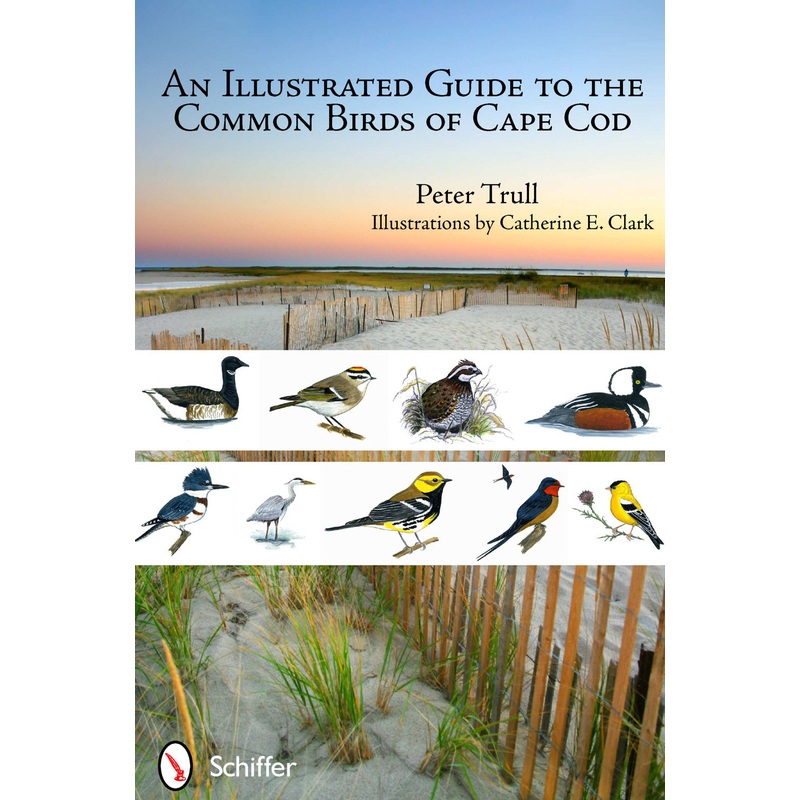 An Illustrated Guide to the Common Birds of Cape Cod