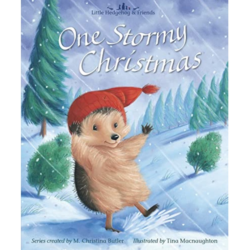 One Stormy Christmas