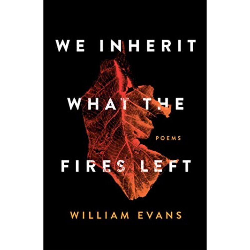 We Inherit What the Fires Left: poems