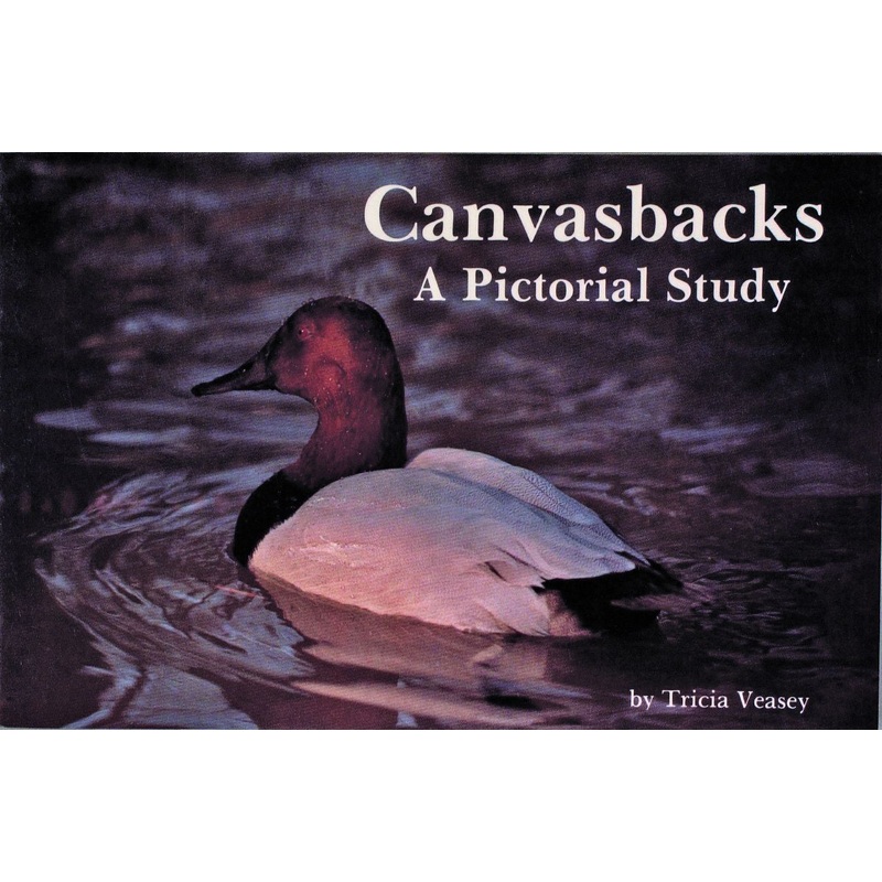 Canvasbacks