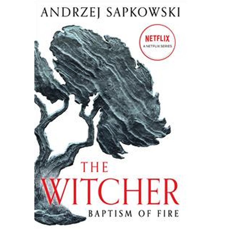 The Witcher #5: Baptism of Fire