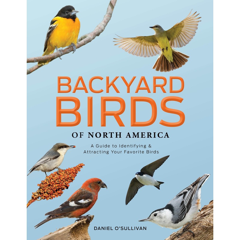 Backyard Birds of North America