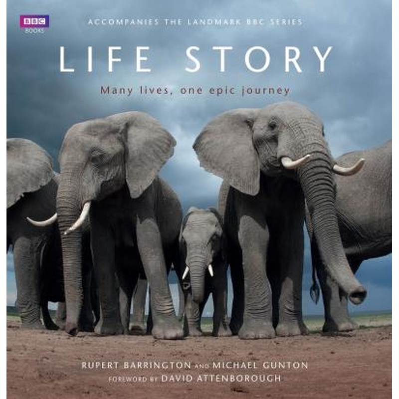 Life Story - Many Lives, One Epic Journey