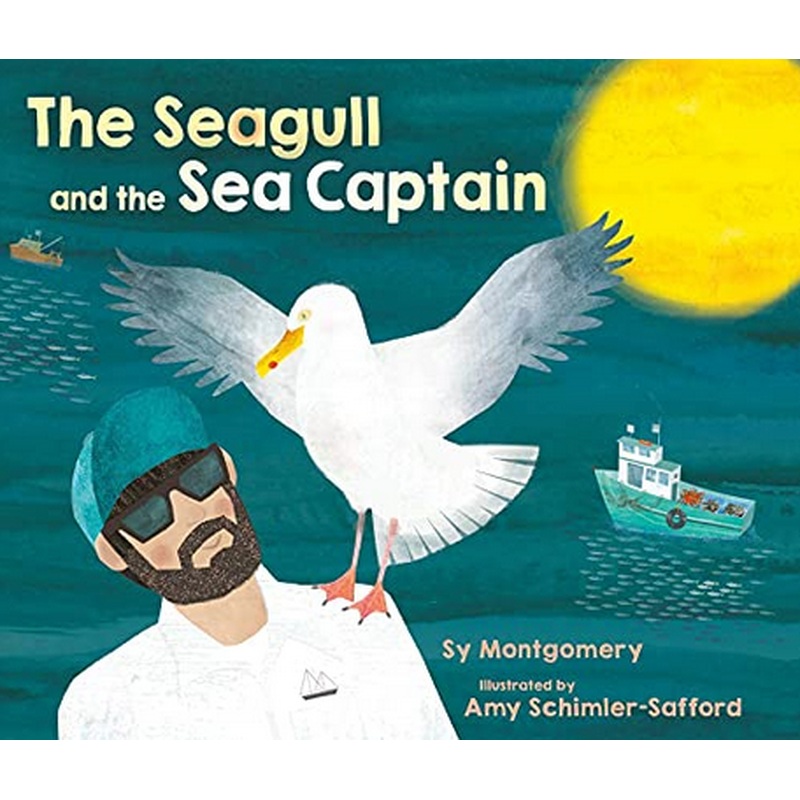 The Seagull and the Sea Captain
