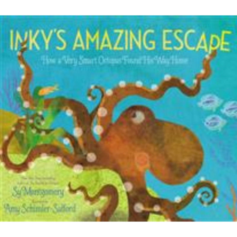 Inky's Amazing Escape: How a Very Smart Octopus Found His Way Home