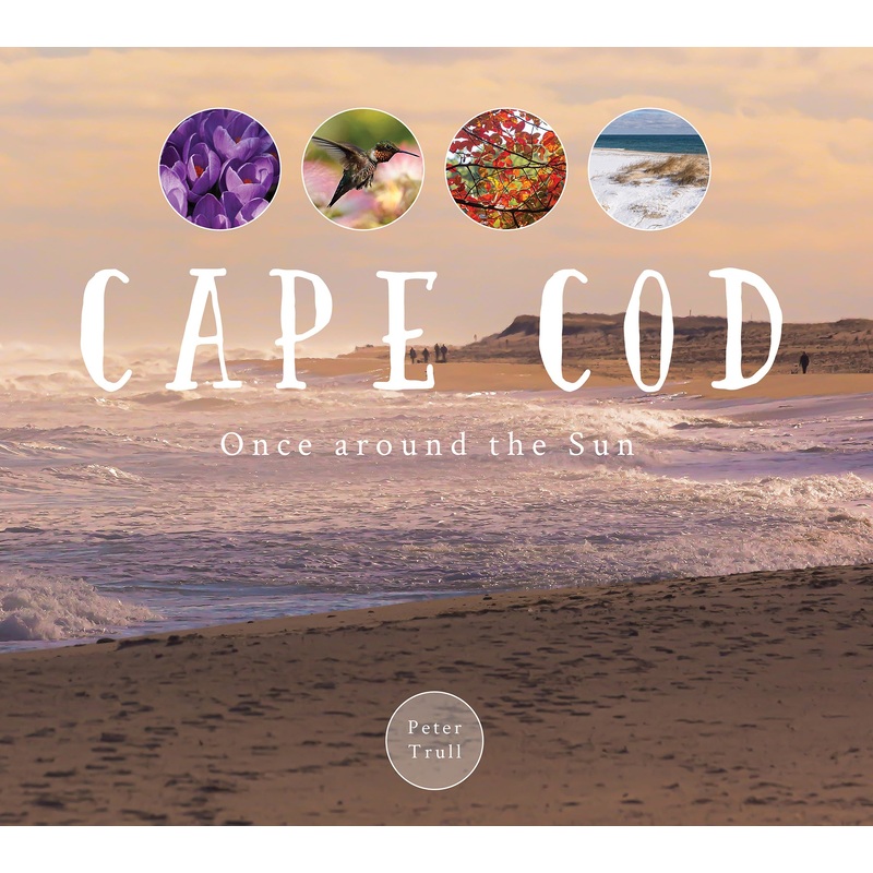 Cape Cod