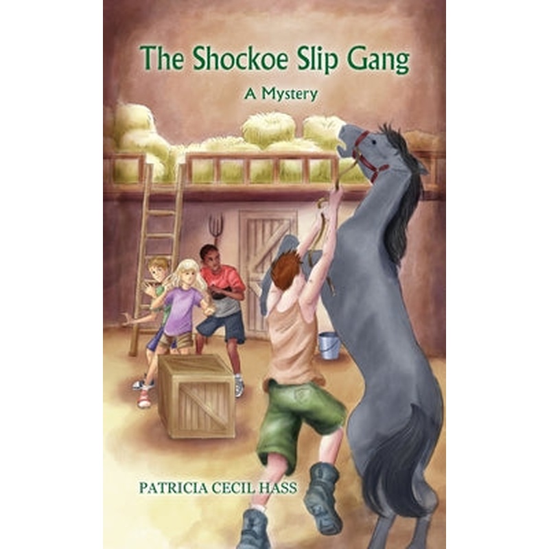 Shockoe Slip Gang: A Mystery (Paperback) (Sale)