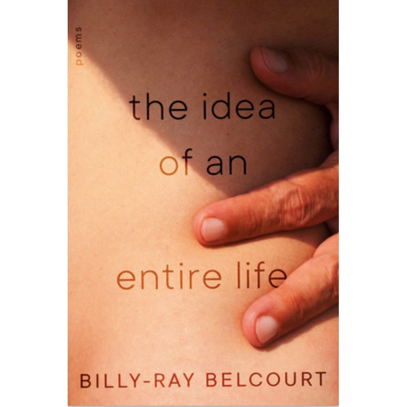 The Idea of an Entire Life: poems