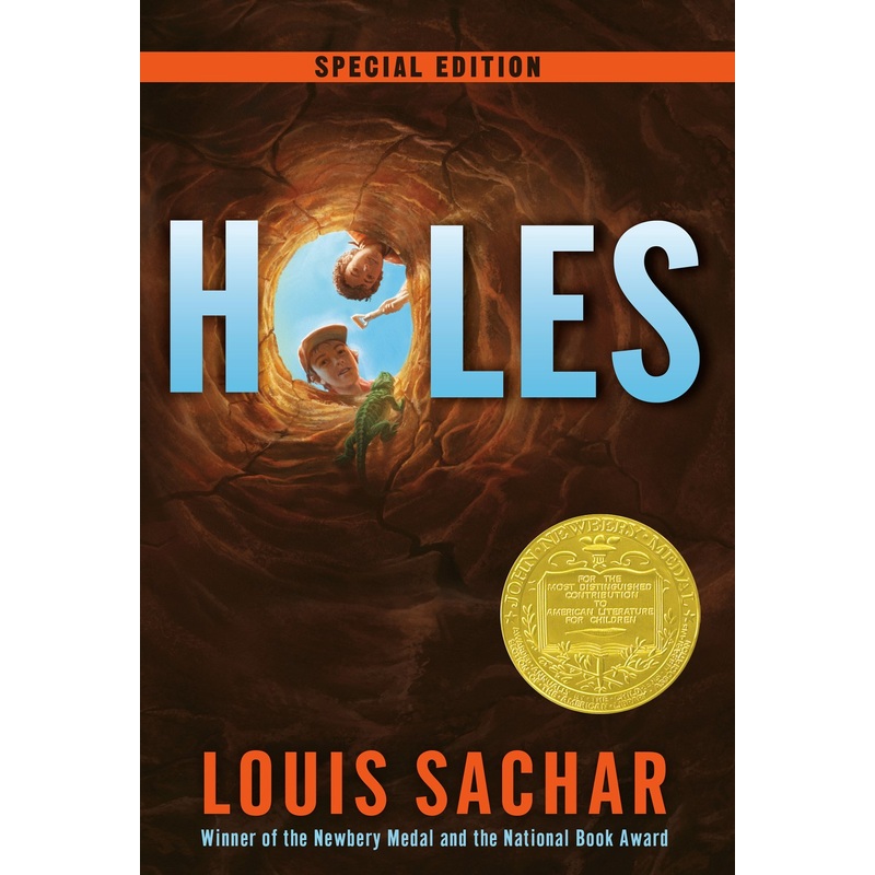 Holes (Paperback)