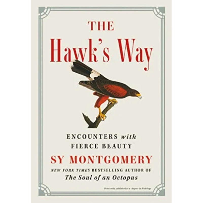 The Hawk's Way: Encounters With Fierce Beauty