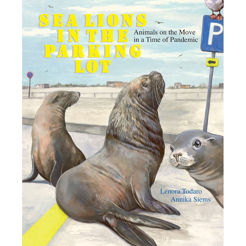 Sea Lions in the Parking Lot: Animals on the Move in a Time of Pandemic