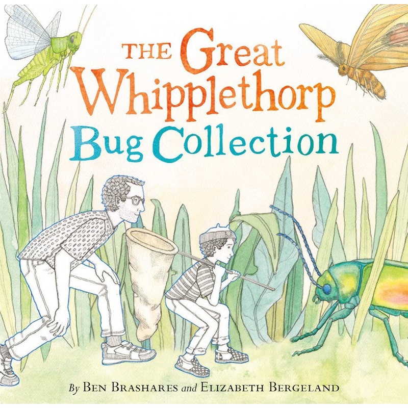 Great Whipplethorp Bug Collection*