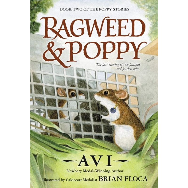 Ragweed and Poppy