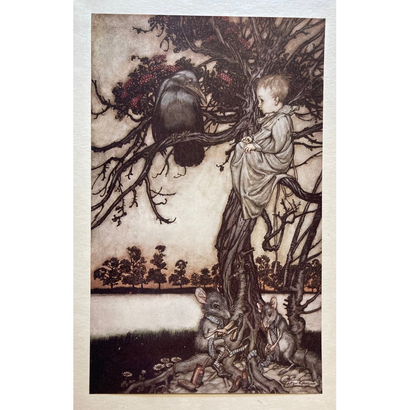 Put His Strange Case Before Old Solomon Caw