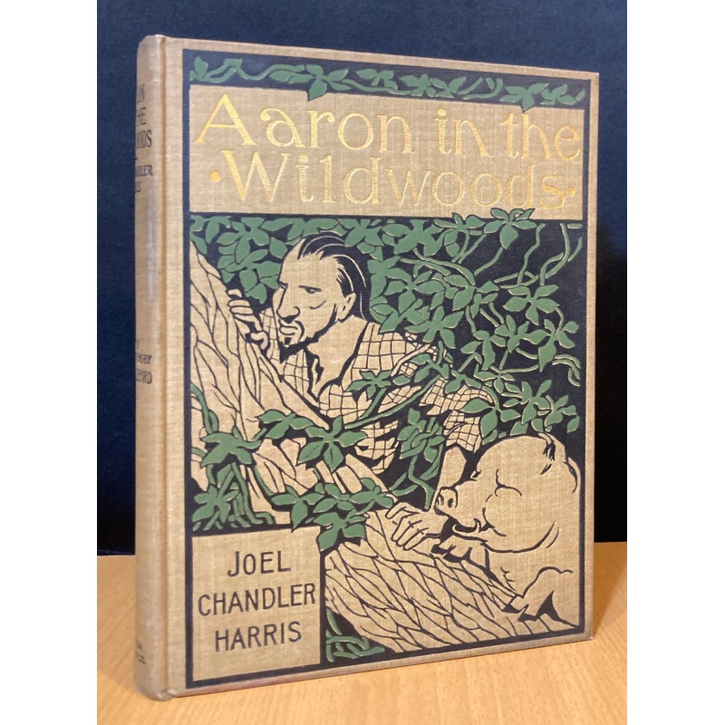 Aaron in the Wildwoods