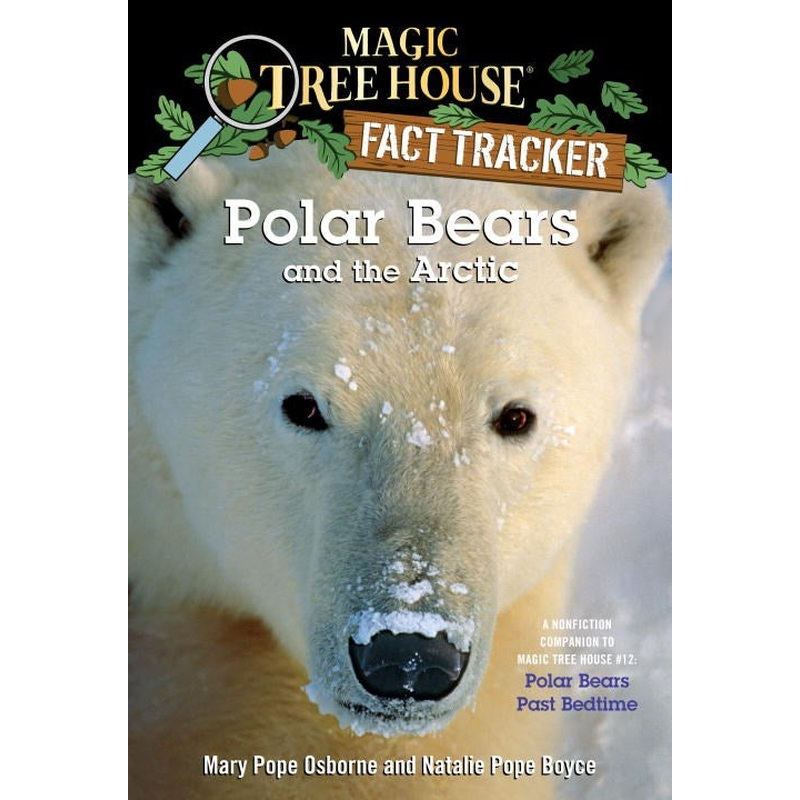 Polar Bears and the Arctic