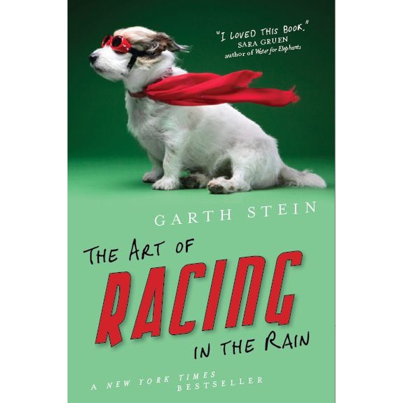 The Art of Racing in the Rain
