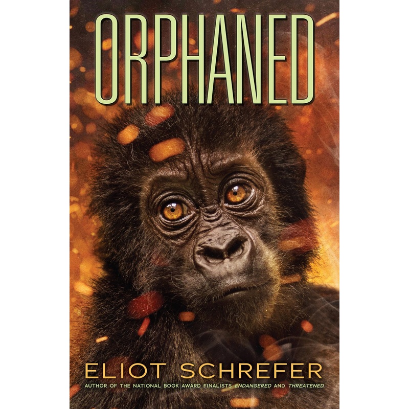 Orphaned