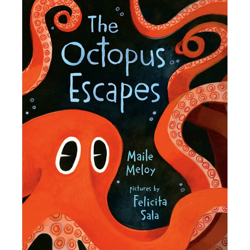 Octopus Escapes