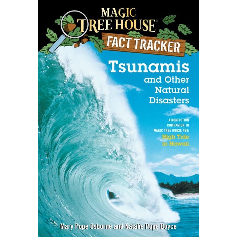 Tsunamis and Other Natural Disasters