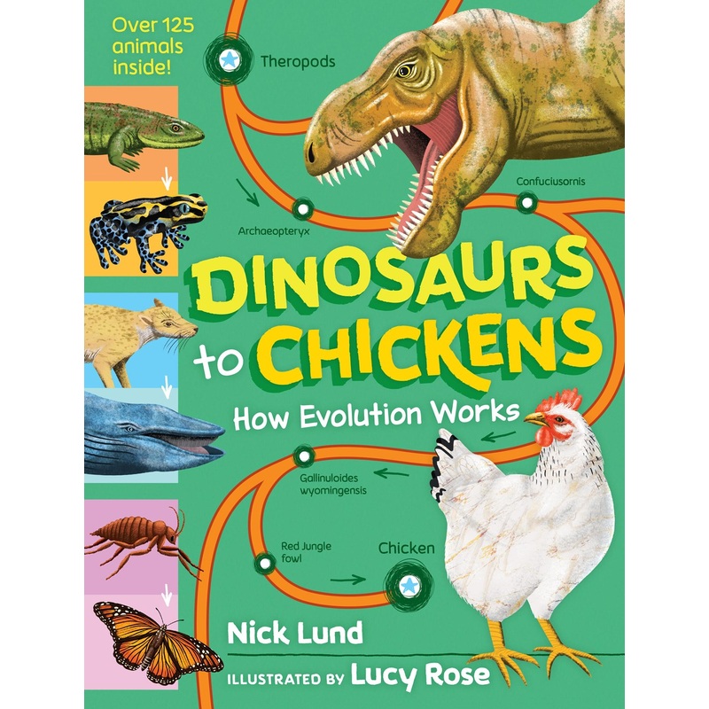 Dinosaurs to Chickens: How Evolution Works
