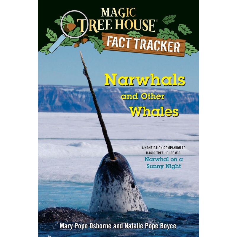 Narwhals and Other Whales
