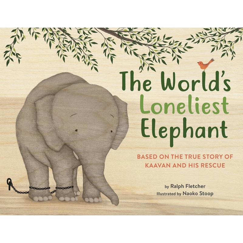 The World's Loneliest Elephant: Based on the True Story of Kaavan and His Rescue
