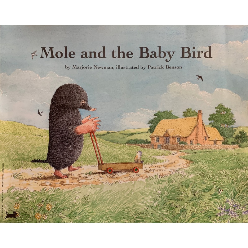 Mole and the Baby Bird