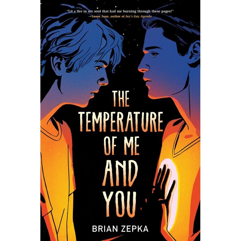 The Temperature of Me and You (Paperback)