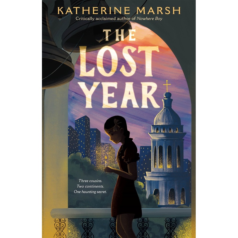 The Lost Year (Paperback)