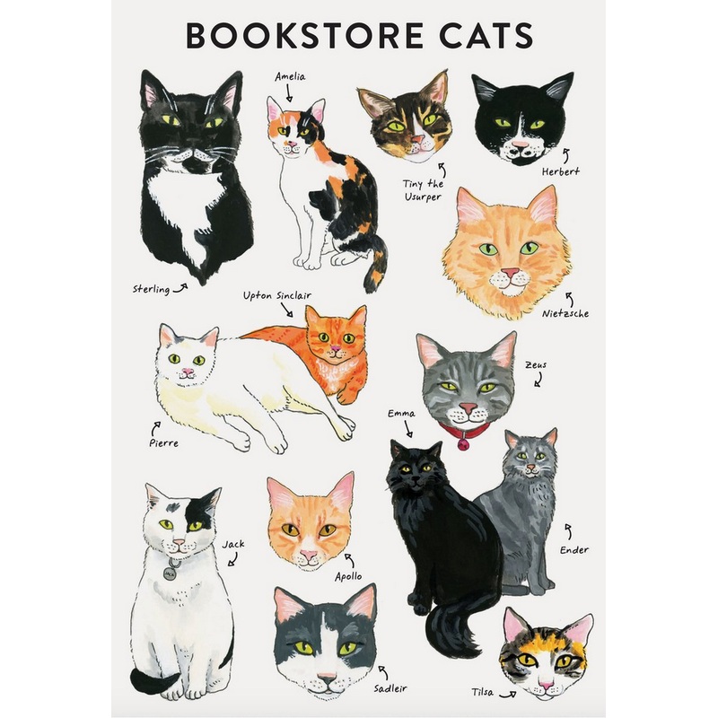 Bookstore Cats Journal