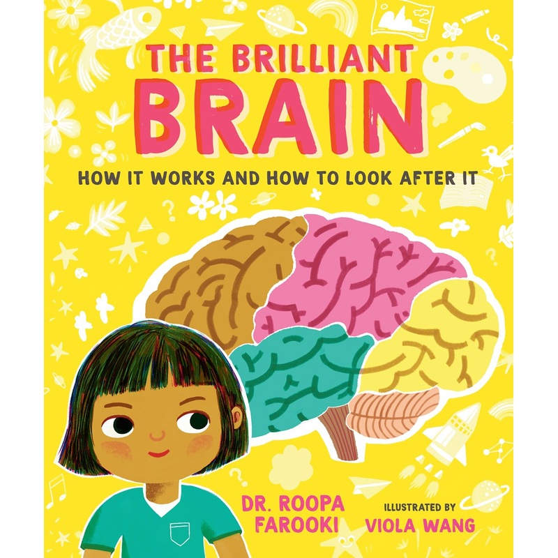 The Brilliant Brain: How it Works and How to Look After It