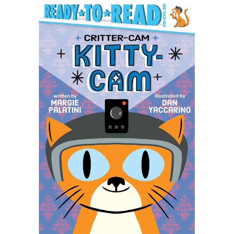 Kitty-Cam