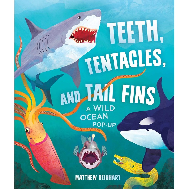 Teeth, Tentacles, and Tail Fins : A Wild Ocean Pop-Up for Kids