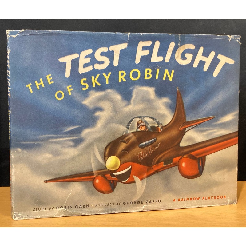 Test Flight of Sky Robin