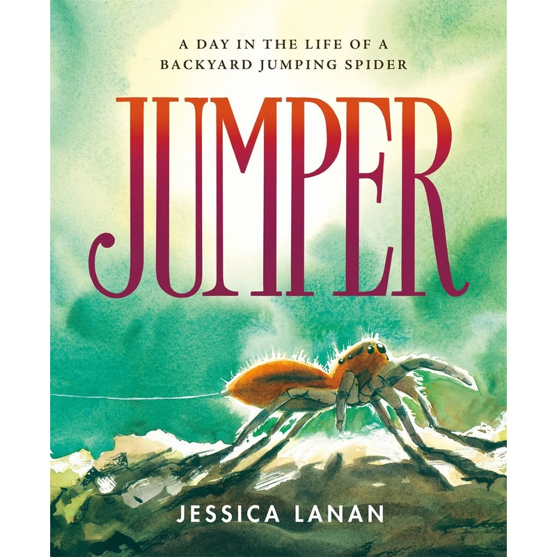 Jumper: A Day in the Life of a Backyard Jumping Spider